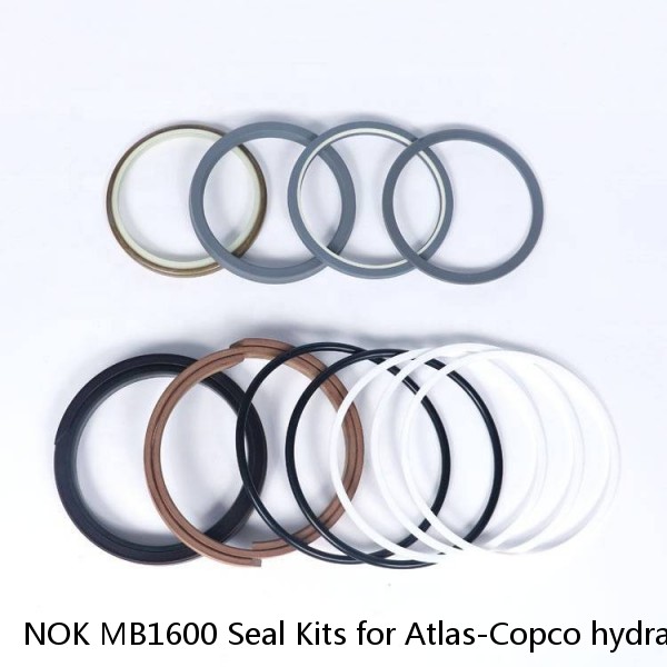 NOK MB1600 Seal Kits for Atlas-Copco hydraulic breaker #1 small image