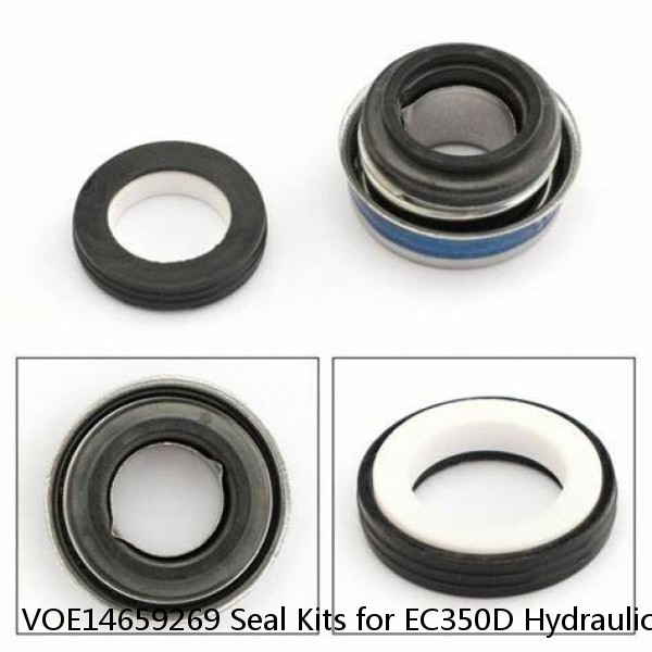 VOE14659269 Seal Kits for EC350D Hydraulic Cylindert #1 image