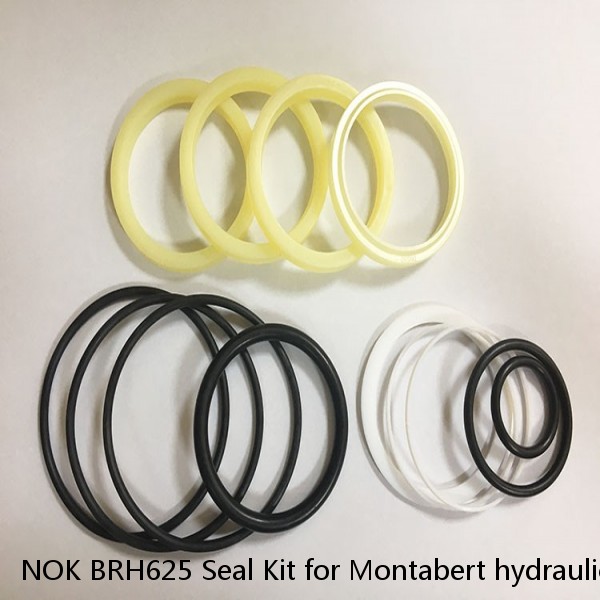 NOK BRH625 Seal Kit for Montabert hydraulic breaker #1 image