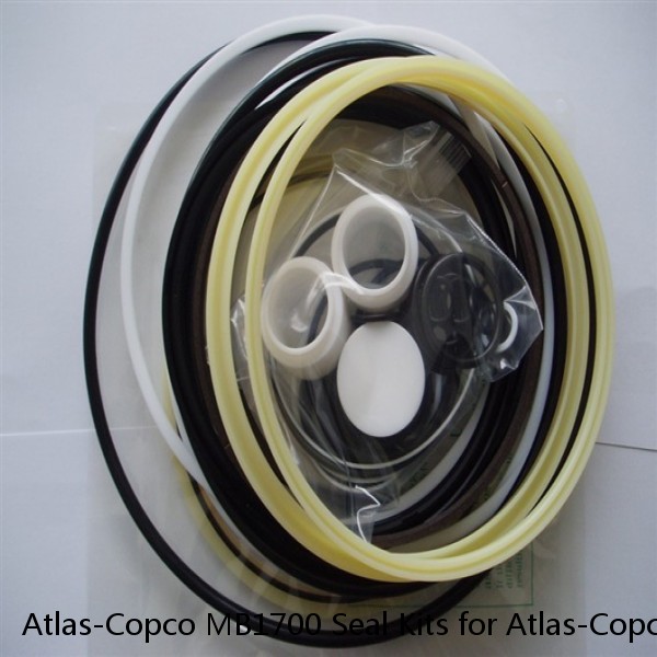 Atlas-Copco MB1700 Seal Kits for Atlas-Copco hydraulic breaker #1 image