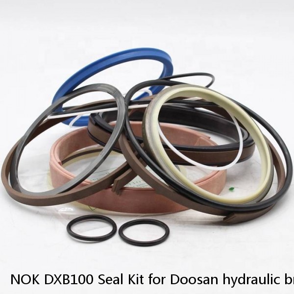 NOK DXB100 Seal Kit for Doosan hydraulic breaker #1 image