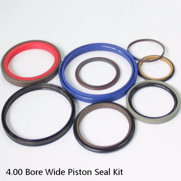 4.00 Bore Wide Piston Seal Kit #1 image