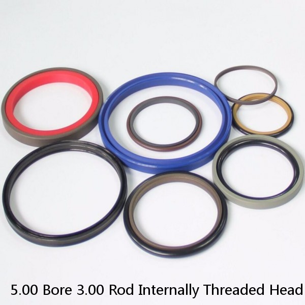 5.00 Bore 3.00 Rod Internally Threaded Head Seal Kit #1 image